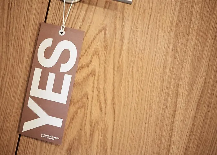 Numad * San Sebastián