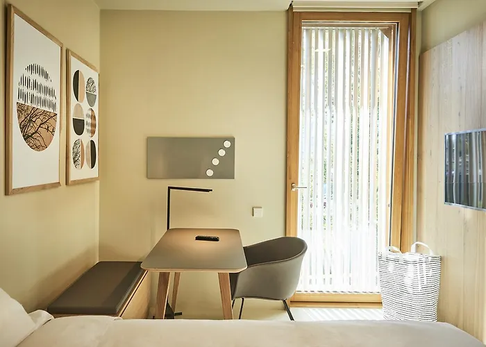 Numad * San Sebastian